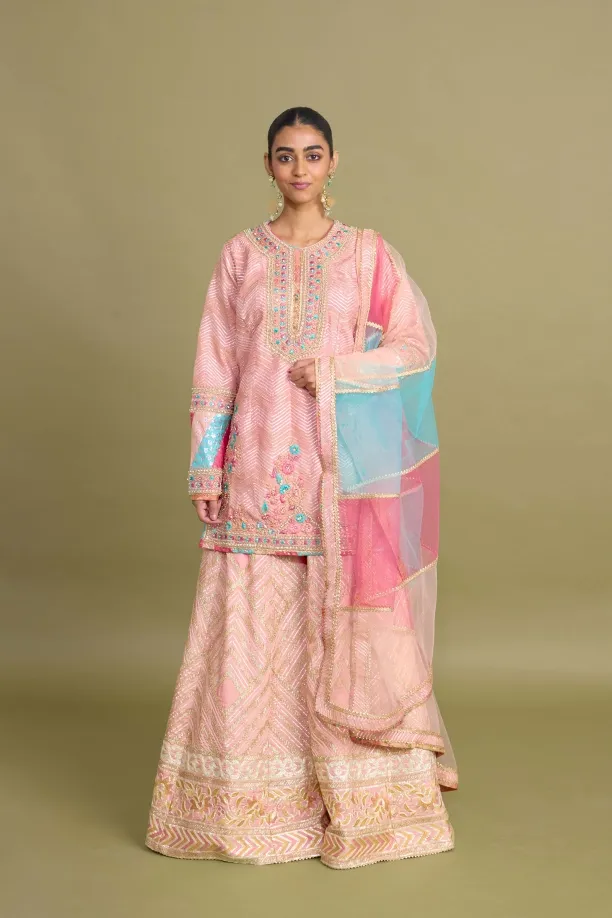 Desert Pink Sharara Set 