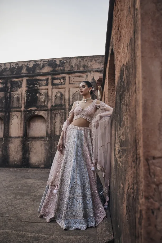 Multihue Pastel Net Lehenga Set