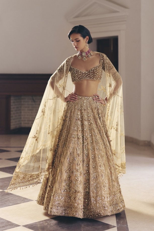 Gold Net Lehanga Set