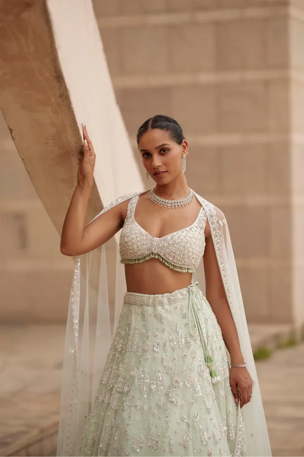 Mint Green Net Lehenga 