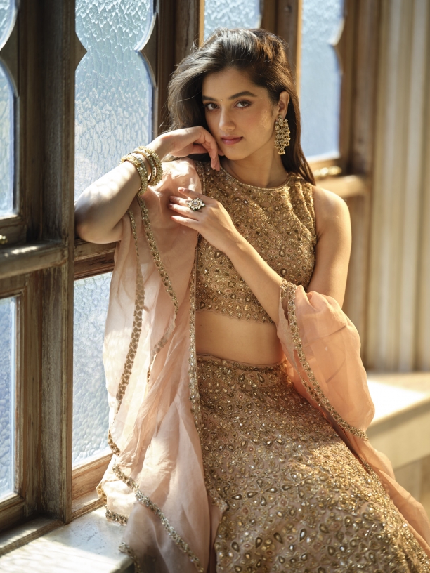 Champagne Organza Lehenga