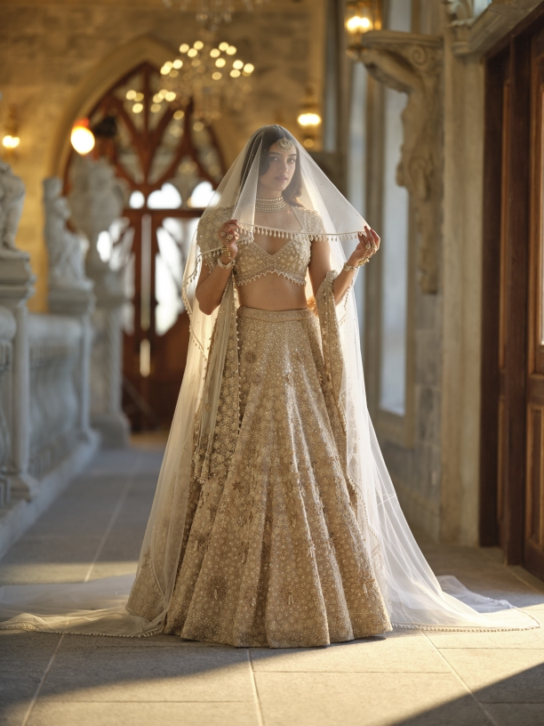 Frontier raas lehenga on sale