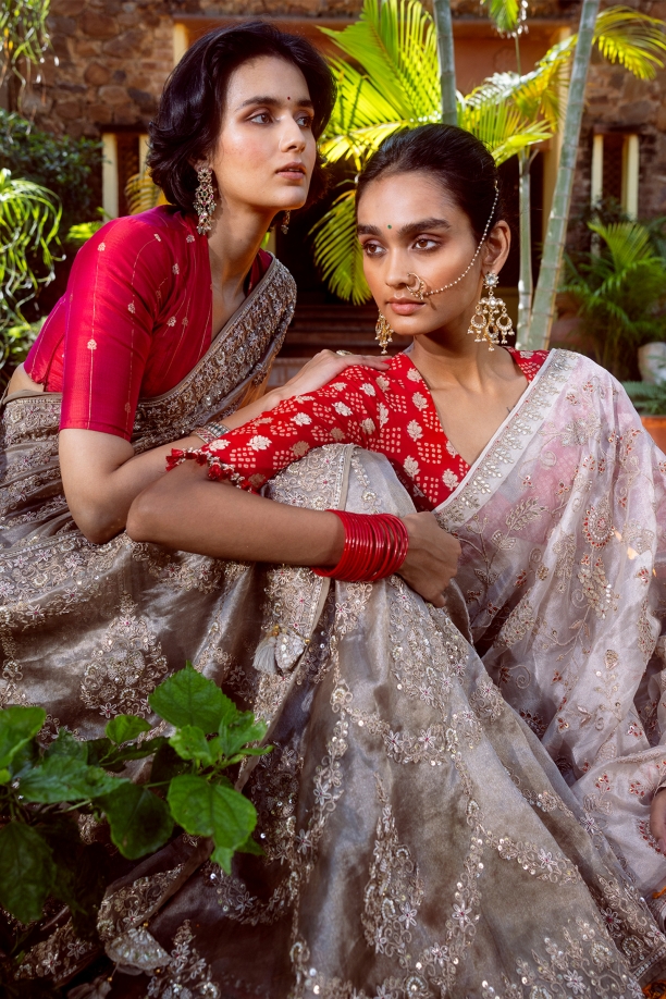 Silver Tissue Saree