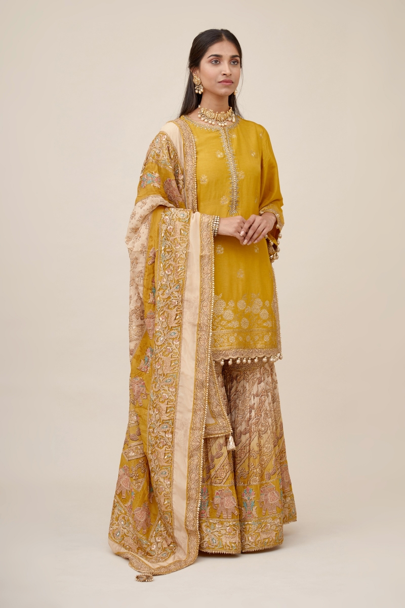 Silk Sharara Suit Designs for Your Next Event