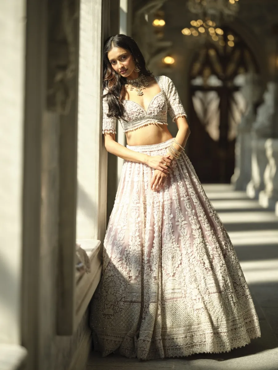 lehenga dress pink Shop royal Pink lehenga with Zardosi, Nakshi, Dabka, Badla and zari work. Perfect for weddings, engagements and reception celebrations. L / Pink