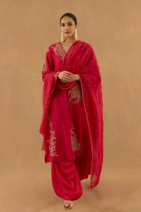 Rani Pink Organza Sahrara set