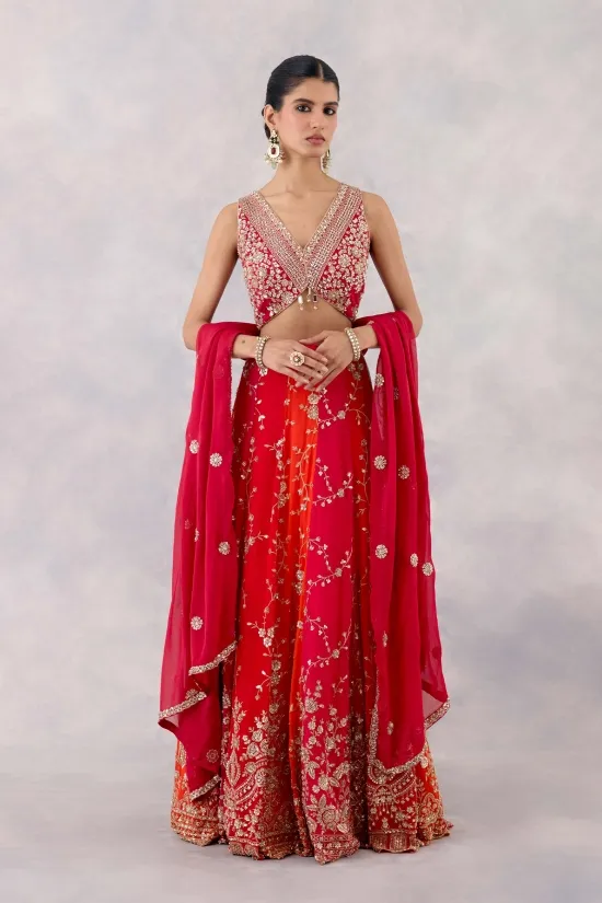 Rani Red Georgette Lehenga Set Rani Red Georgette Lehenga Set
