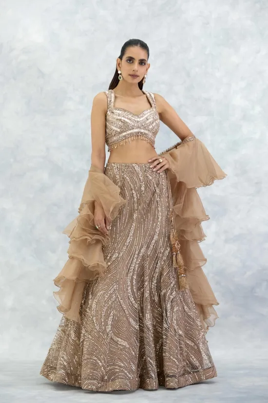 Beige Organza Lehenga Set Beige Organza Lehenga Set