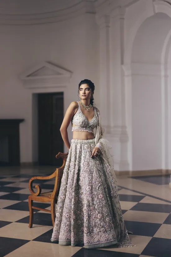 Champagne Tissue Lehenga Set