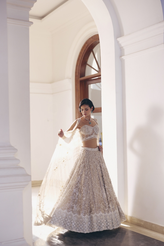 Grey Tissue Net Lehenga Set
