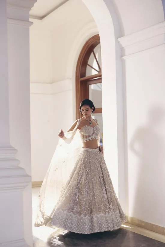Grey Tissue Net Lehenga Set