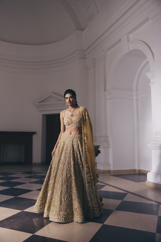 Mustard-Gold Net Lehenga Set