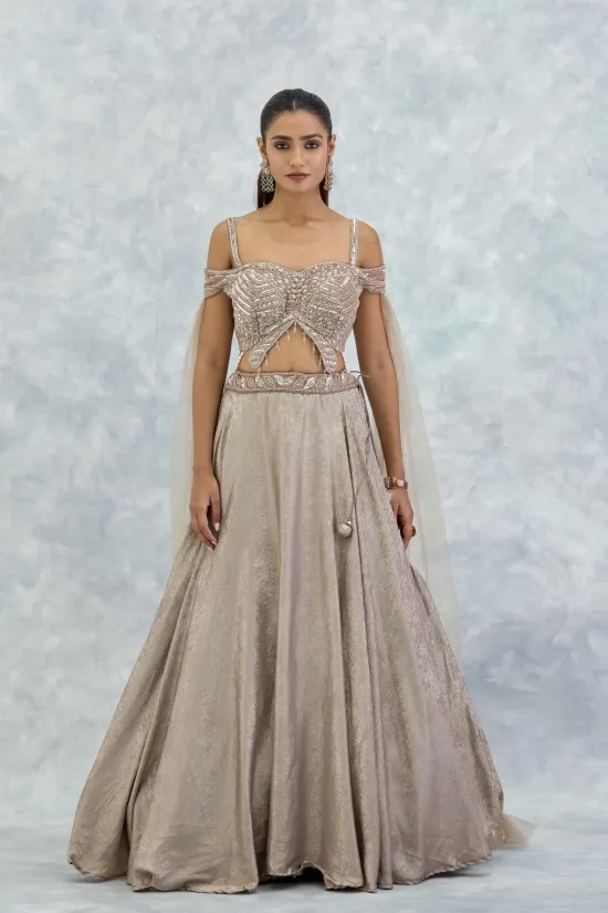 Light Beige Net Lehenga Set Light Beige Net Lehenga Set