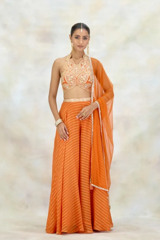 Tangerine Organza Sharara Set Tangerine Organza Sharara Set