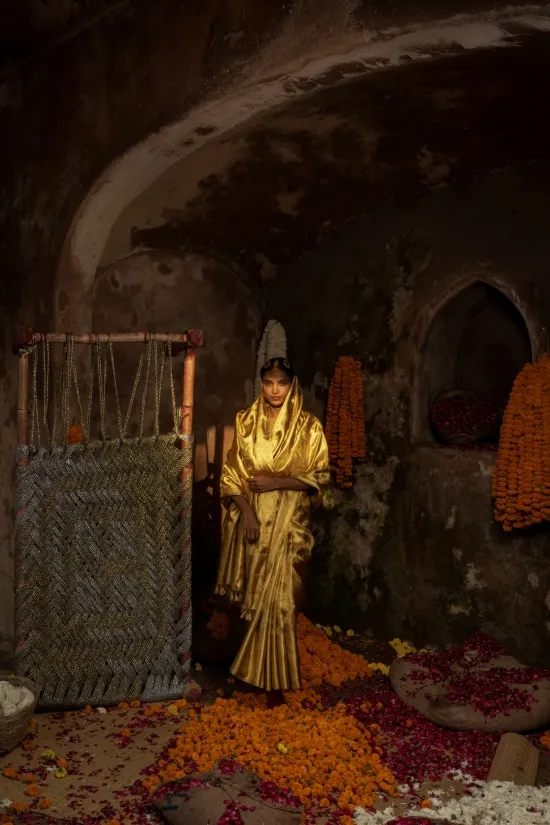 Molten Gold Kanjivaram Tissue Saree