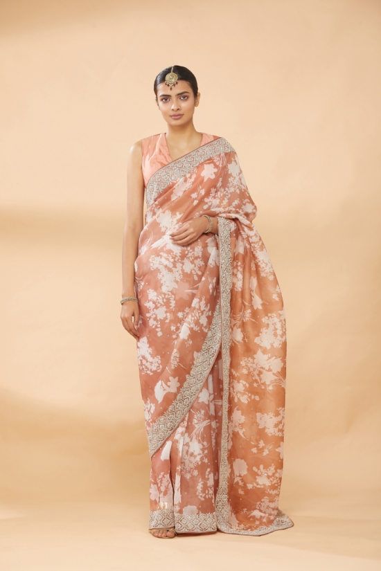 Salmon Peach Embroidered Saree
