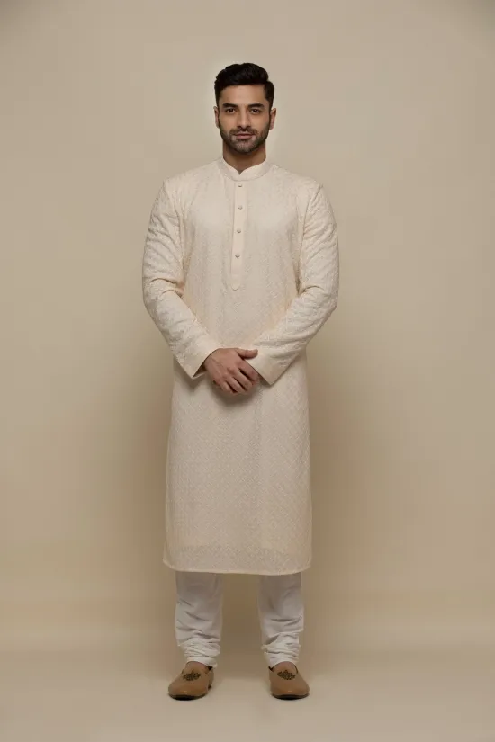 Ivory Chickankari Georegette Kurta Set