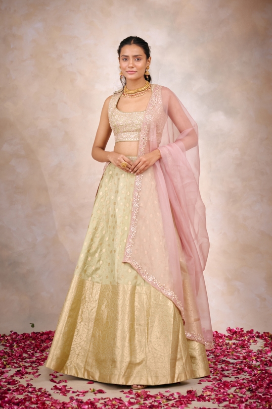 Sage Banarasi Silk Lehenga