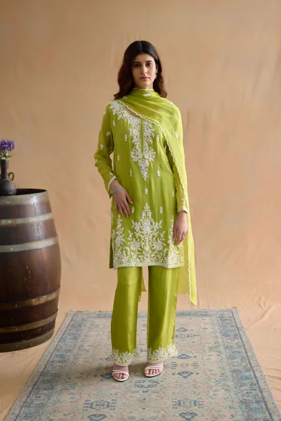 Parrot Green Suit Set