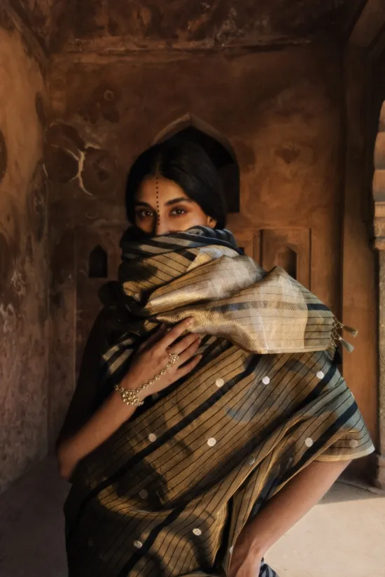 Charcoal Banarasi Tissue Saree