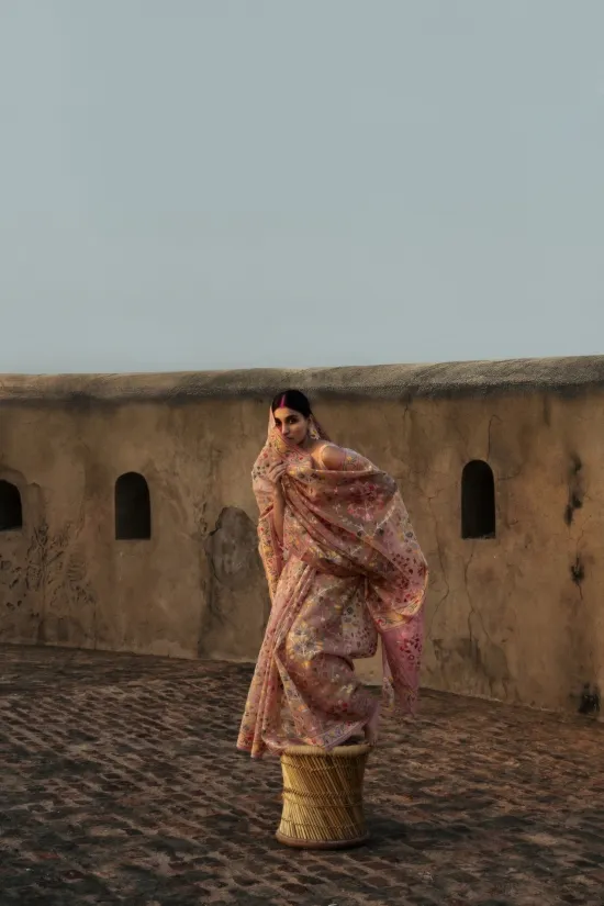Petal Pink Banarasi Kora Saree