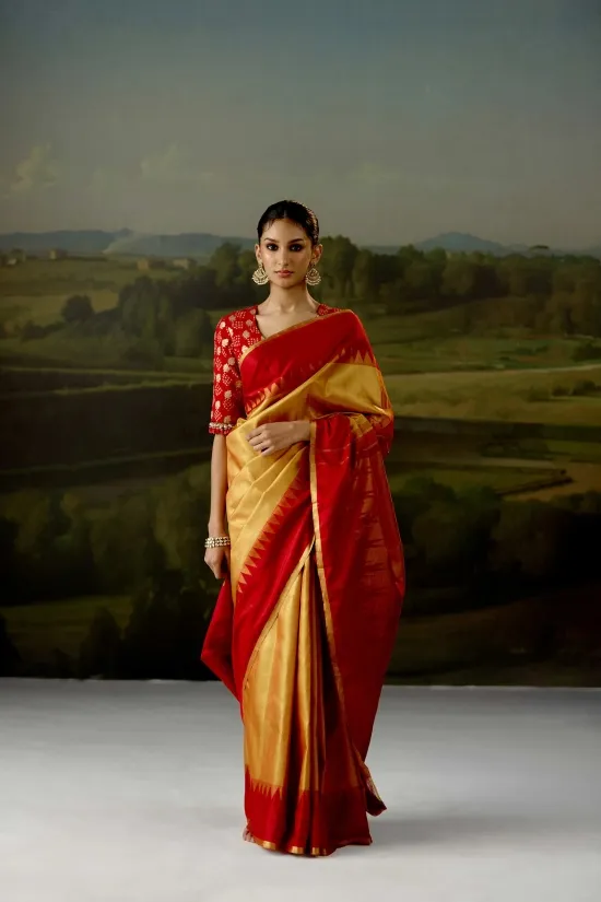 Red And Gold Tissue Silk Saree