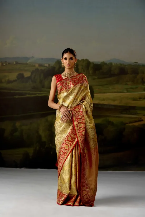 Mustard Gold Tissue Silk Saree