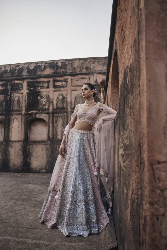 Multihue Pastel Net Lehenga Set