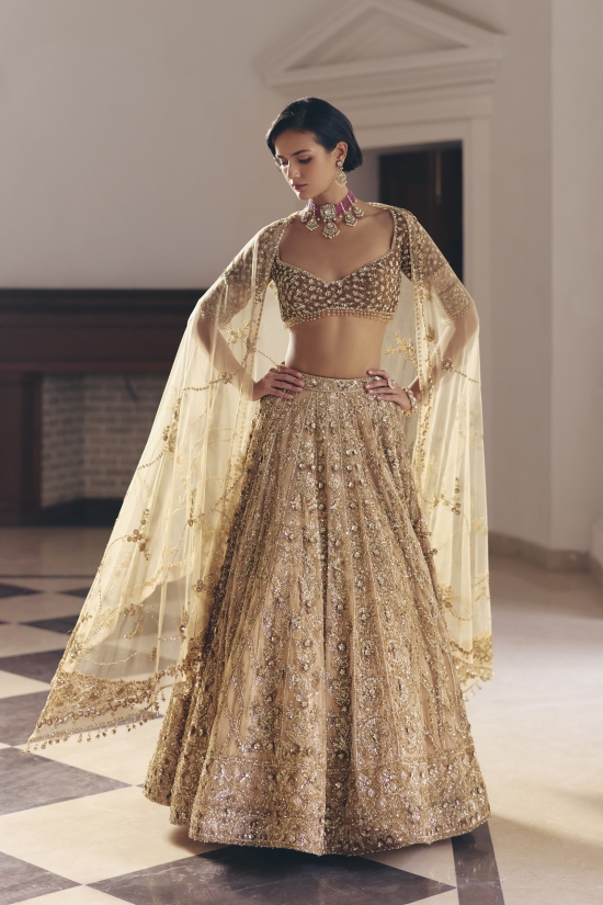 Gold Net Lehanga Set
