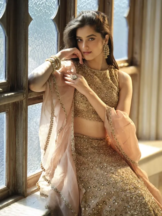 Champagne Organza Lehenga