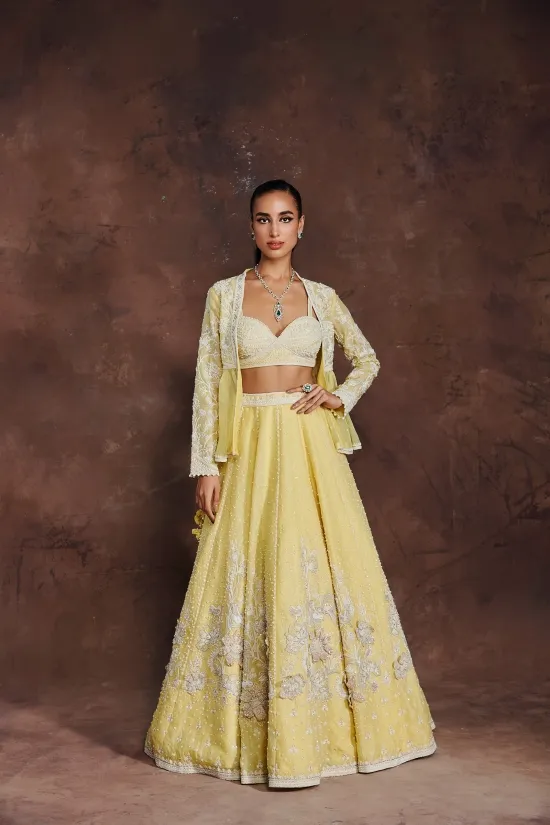 MEDHA BATRA - Ethereal Dream Lehenga Set