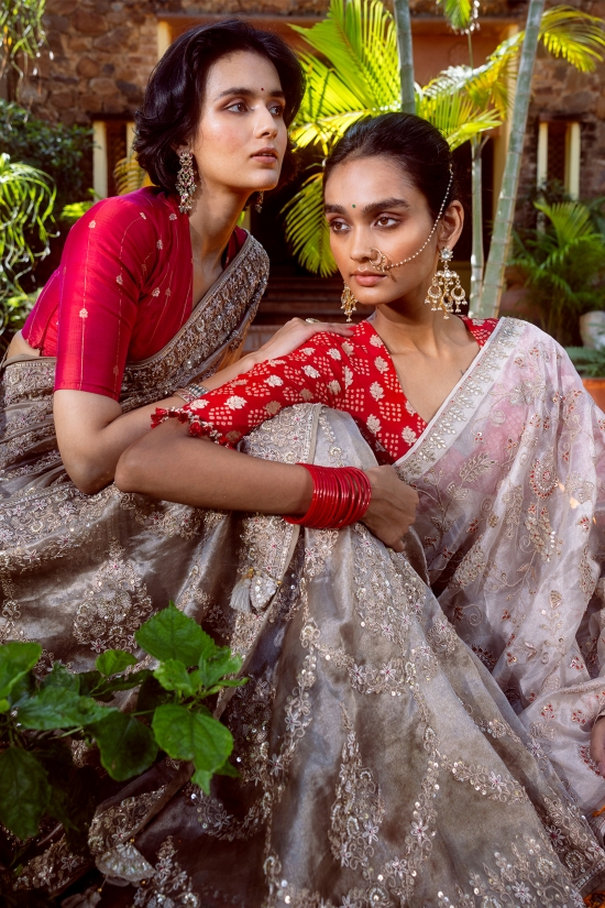 Silver Tissue Saree