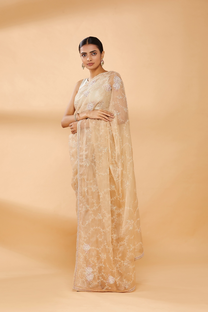 Golden Beige Embroidered Saree