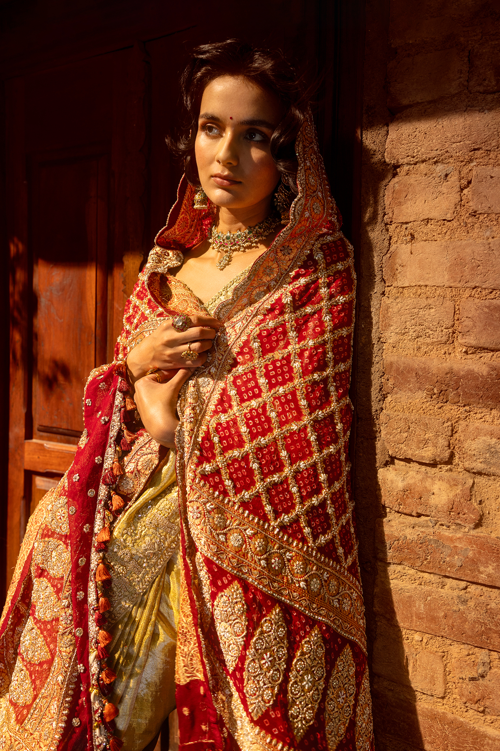 Gold Banarasi Tissue Saree