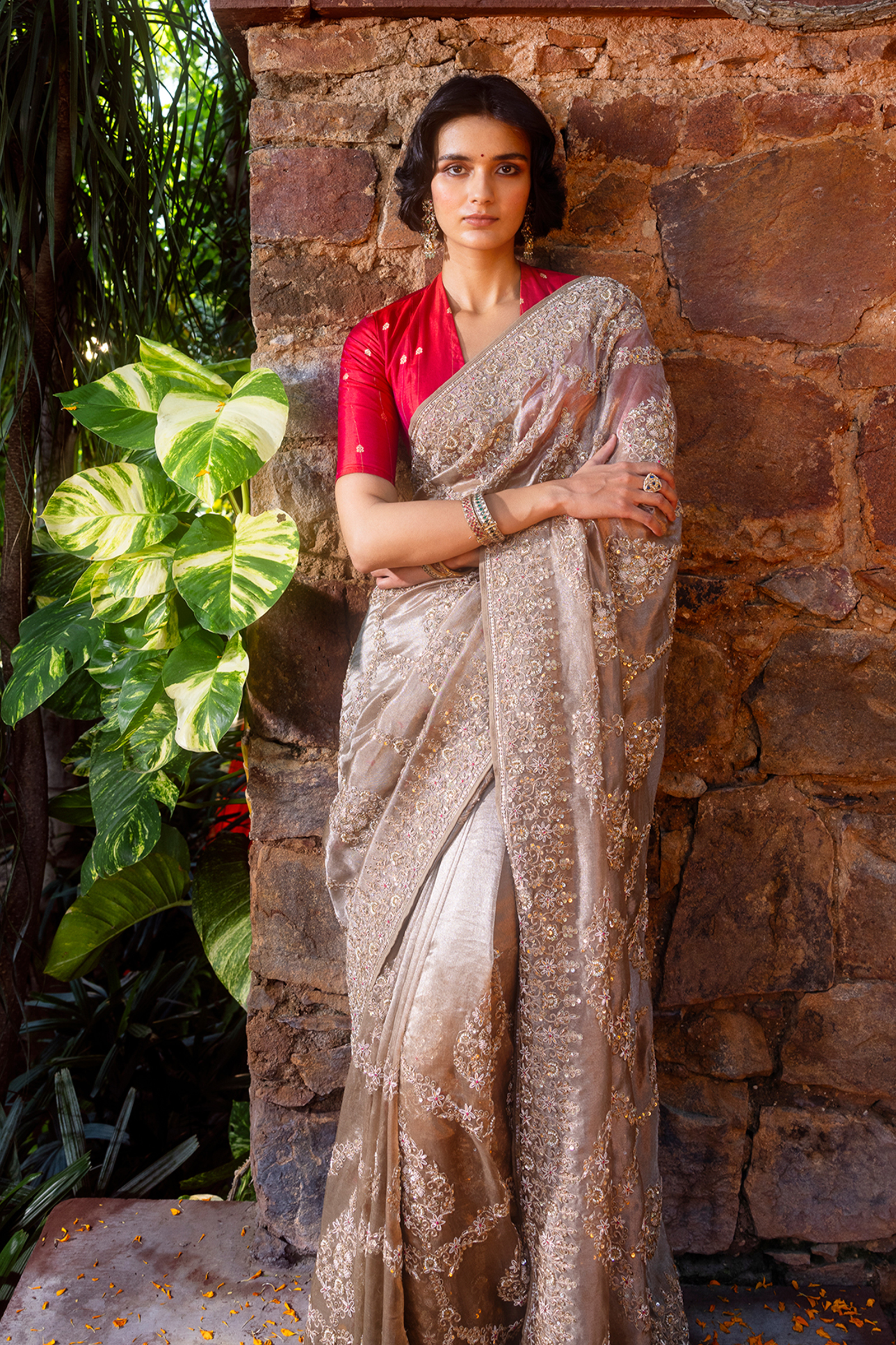 Brown Banarasi Tissue Saree