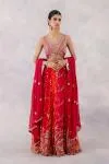 Rani Red Georgette Lehenga Set