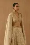 Beige tissue silk lehenga set