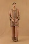 Light Taupe Georgette Suit Set