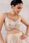 Beige Georgette Lehenga set