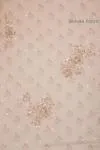Old Rose Organza Saree