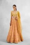 Creamsicle Orange Lehenga Set 
