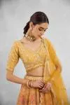 Creamsicle Orange Lehenga Set 