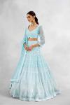 Aqua Blue Net Lehenga Set
