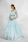 Aqua Blue Net Lehenga Set