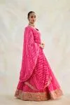 Rani Pink Leheriya Lehenga Set