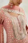 Blush Pink Tissue Sharara Set 