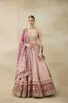 Pale Pink Embroidered Lehenga Set