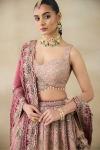 Pale Pink Embroidered Lehenga Set 