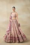 Pale Pink Embroidered Lehenga Set 
