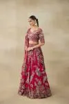 Rich Burgundy Lehenga Set 